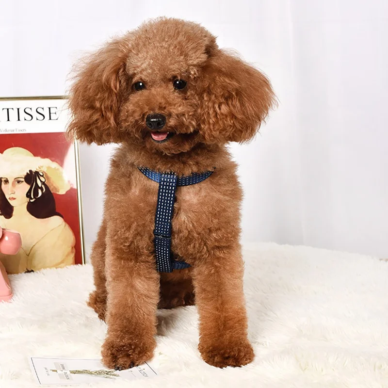 Новинка хит светоотражающий Регулируемый жилет для щенка без тяги поводок из