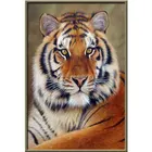 5D полноразмерная алмазная живопись сделай сам с изображением животных лошади тигра льва, Набор для вышивки крестиком, подарок ручной работы, украшение для дома