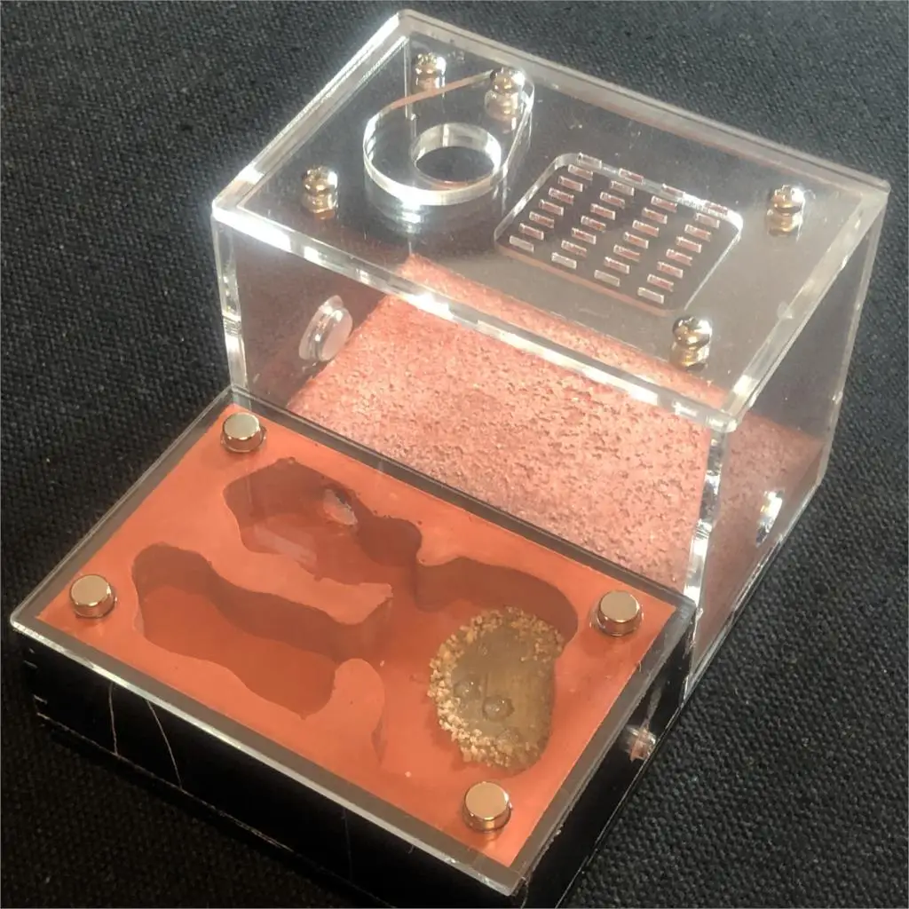 DIY светильник затеняющий экологический плоский муравей ферма акриловый пластырь