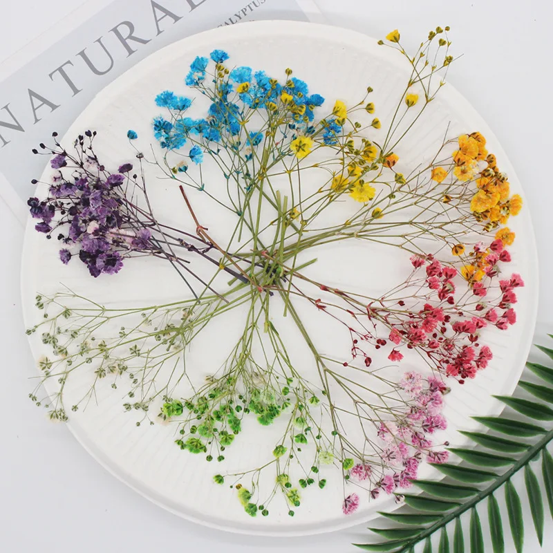 Натуральные сушеные цветы тиснение Botany образец Diy клей ручной оболочки Ароматерапия Свеча фоторамка активность материал наука