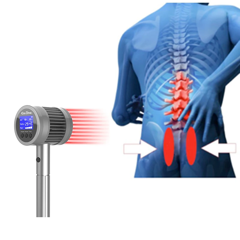 

650nm 808nm Elderly Health Care Deep Tissue Cold Laser Physiotherapy Knee Rehabilitation Prostate Red Light Therapy Treatment