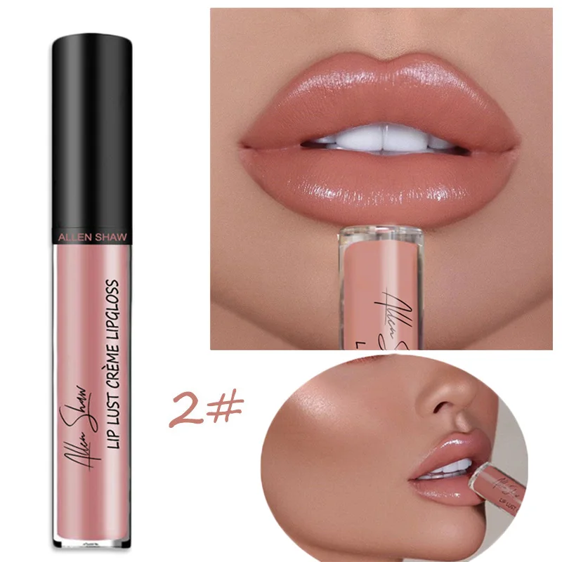 Liquid Lipstick Waterproof Shimmer Lip Gloss Tint Long Lasting Velvet Cream Lips Colors Matte Lipsticks Makeup Sexy 12 |