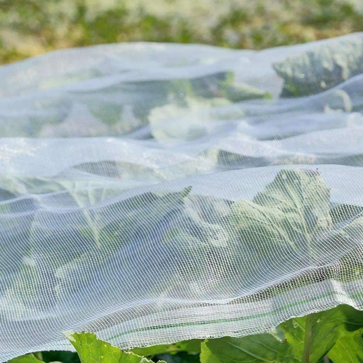 

Insect Protection Net Bug Insect Bird Net Barrier Vegetables Fruits Flowers Plant Protection Greenhouse Garden Netting Summer