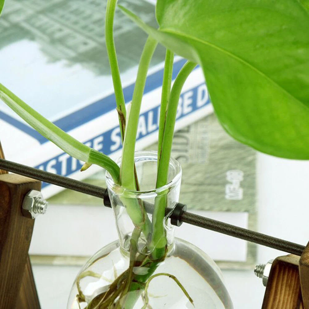 Стеклянная и деревянная ваза плантатор стол для террариума настольный