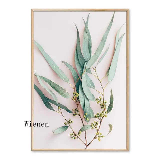 

Modern Plants Leaves King Protea Flowers Wall Art Canvas Painting Posters and Prints Pictures for Living Room Home Decoration