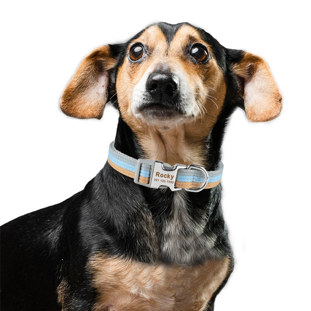 

Personalized Dog Collars Custom Engraved ID Name Padded Small Medium Large Puppy Personalised Dog Collar Boy Girl Pure Cotton