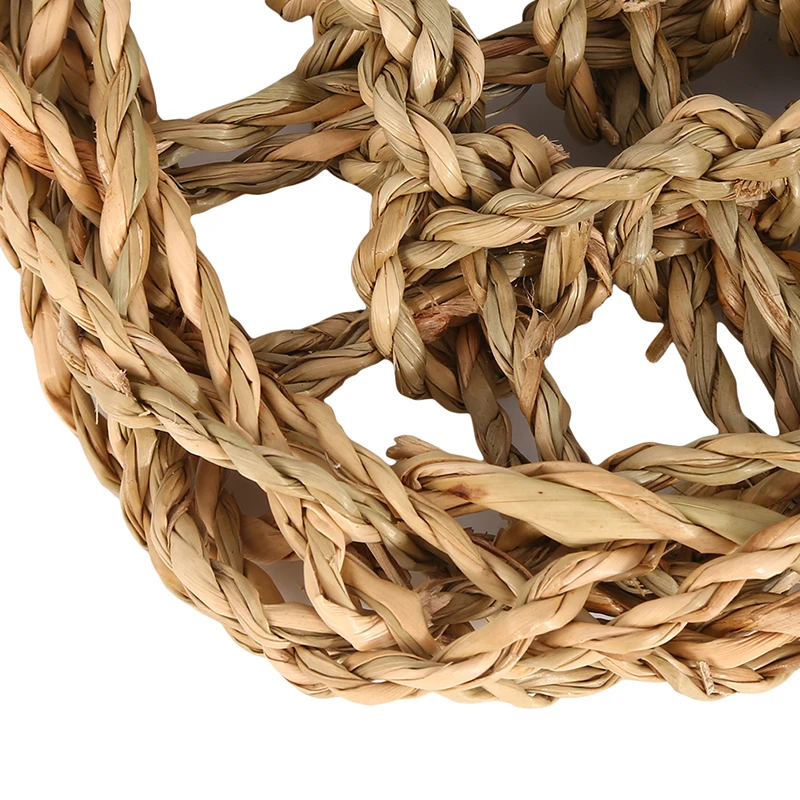 Маленькие крабы отельники гекконы кровати коврики морские водоросли ящерица