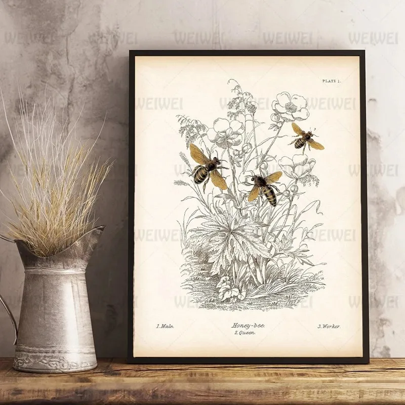 

Printmaking Nature Education Wall Art Canvas Painting Retro Insect Bee Poster Picture Copy Biology Print Farmhouse Decoration