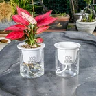 Прозрачный Горшок для растений, украшение в современном минималистичном стиле для дома и офиса, может автоматически впитывать воду, ленивый цветок