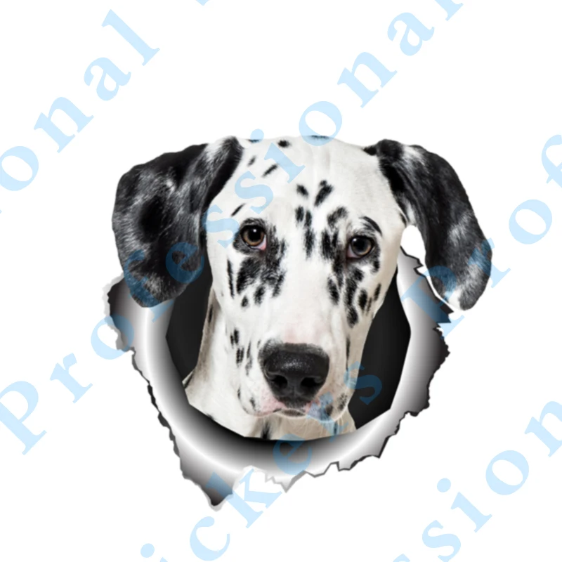 

3D Animal 13 x 4.8 Blue Heeler Sticker Torn Metal Vinyl Decal Lovely Car Stickers Motorcycle Trunk Animal 3D Car Styling
