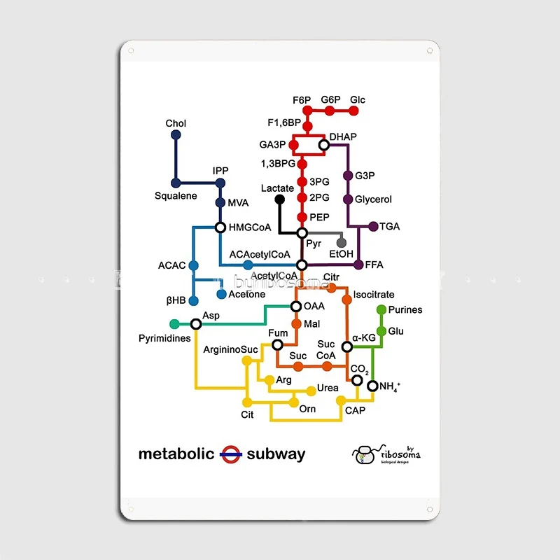 

Metabolic Subways Metal Sign Club Home Pub Garage Design Plaques Tin Sign Poster