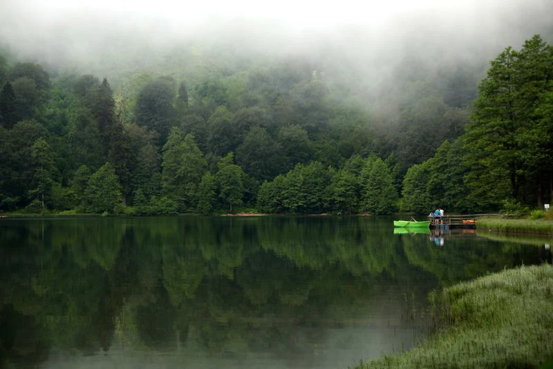 Papel де parede туманный сосновый лес озеро природный ландшафт 3d обои росписи гостиная