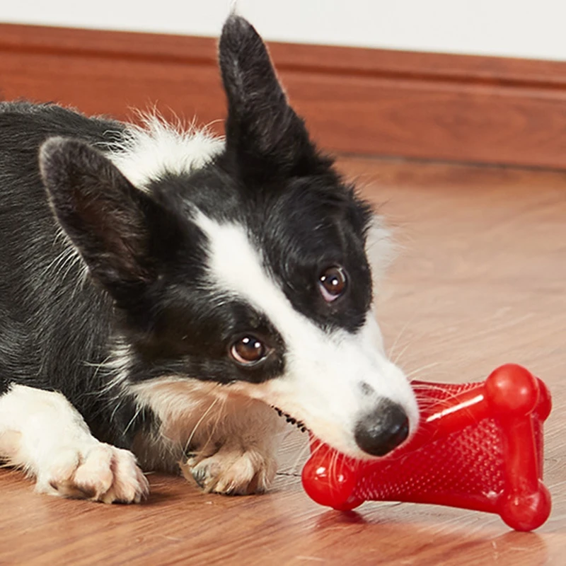 

Новейшие интересные игрушки для домашних животных, интерактивный дозатор для собак, товары для домашних животных для тренировок и гигиены ...