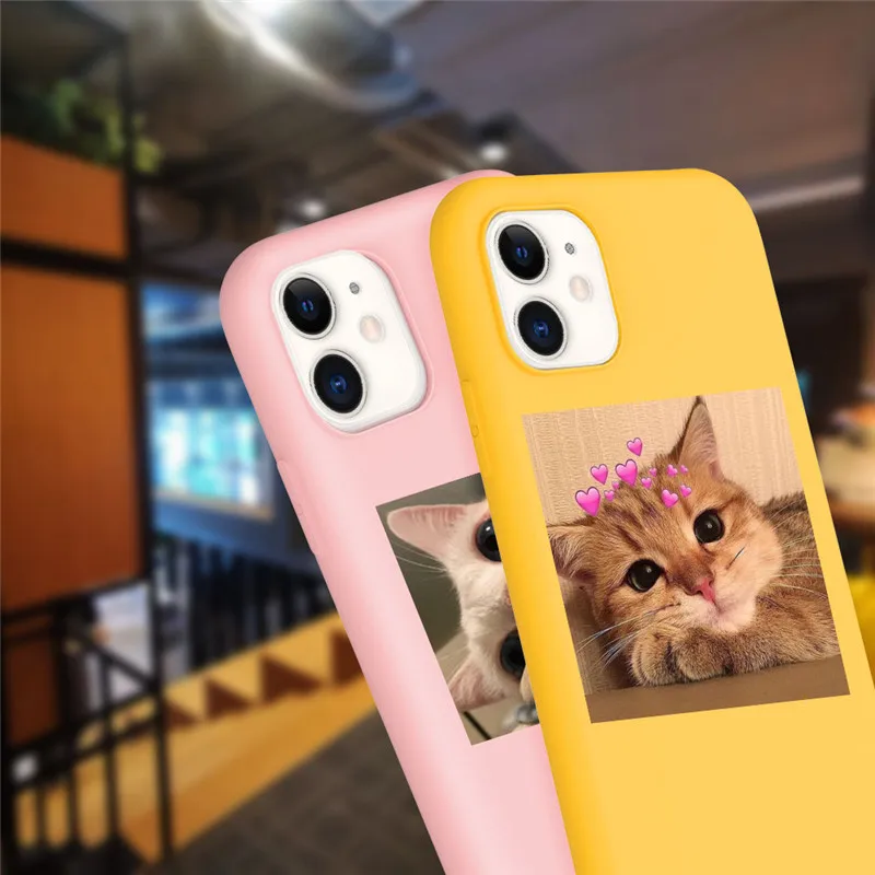 Cute Cat Photo Candy Color Phone Case For iPhone 12 11 Pro X XR XS Max SE 2020 7 8 Plus 5 6 6s Shockproof Soft Silicone Cover