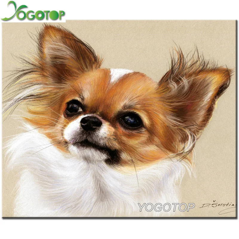 Алмазная вышивка своими руками Чихуахуа 5D алмазная живопись мозаичная картина