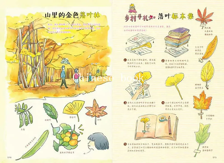 Новый акварельный учебник книга для рисования в виде милой сельской жизни