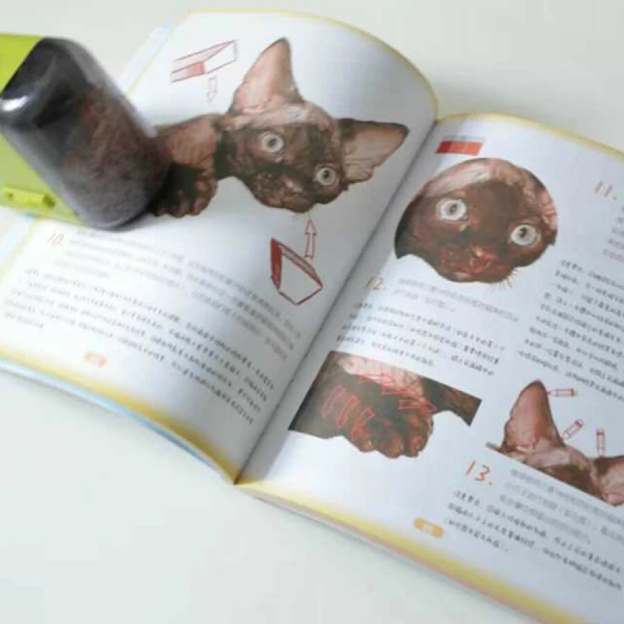 Учебник с цветным карандашом и картинкой: рисунок милой кошкой | Канцтовары для