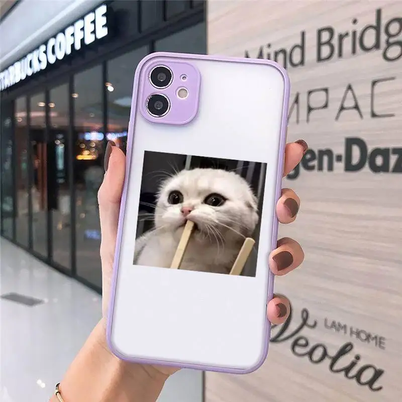 

Cute Cat Phone Cases Matte transparent For Purple iPhone 12 Mini 11 Pro XR XS Max 7 8 Plus X Back Cover