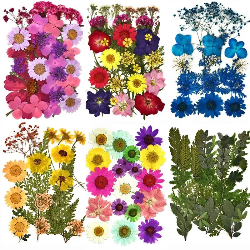 DIY Dried Flowers Resin Mold Fillings UV Expoxy Flower for Nail Art Pressed Flowers for Home Decor Handicraft