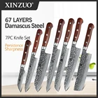 Новинка 2020, набор кухонных ножей из дамасской стали, нож ручной работы, инструменты для готовки шеф-повара, ручка из розового дерева, высококачественные экологически чистые товары