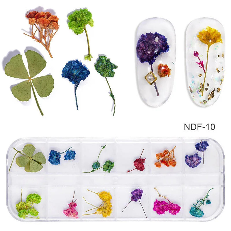 NDF 10 3d натуральные маргаритки Gypsophila DIY наклейки консервированные гербарий 12 сетки женские принадлежности сушеные цветы Дизайн ногтей украшения - Цвет: NDF 10