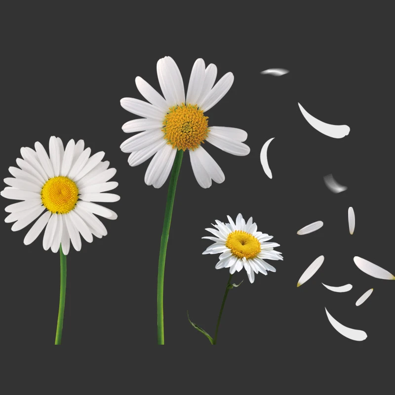 

Daisy Petals Car Stickers Floral Ho White Peace and Love Auto Window Beautiful Life Decals for Women Tuning Accessories