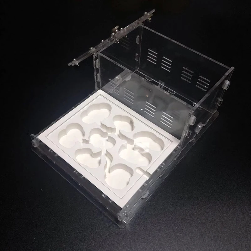 Прозрачное Муравьиное гнездо гипсовое муравьиная вилла акриловое плоское для