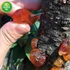 Изображение товара 4