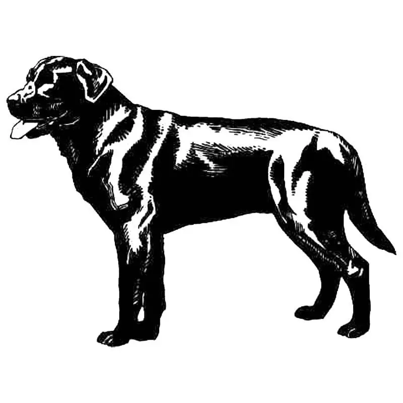 11 9*8 9 см золотистого ретривера Лабрадора автомобильные наклейки с собаками