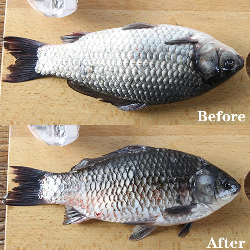 

Fish skin brush scraping fish scale brush grater quick disassembly fish knife cleaning peeling skin scraper scraper fish scaler
