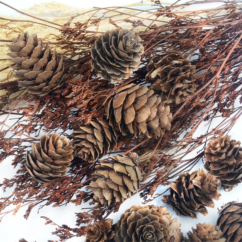 

2021 10pcs Natural Pine Nuts Fruit Artificial Flowers Pineapple Cones for Wedding Christmas Decoration DIY scrapbooking Carft
