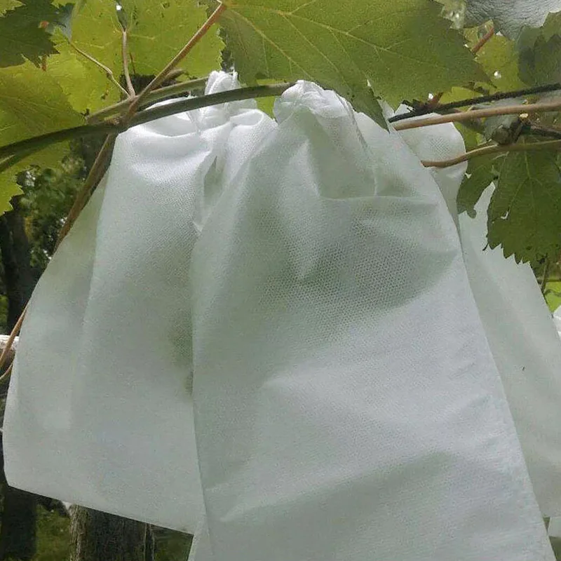 Защитные мешки для фруктов овощей и растений 10 шт./лот защитные от насекомых