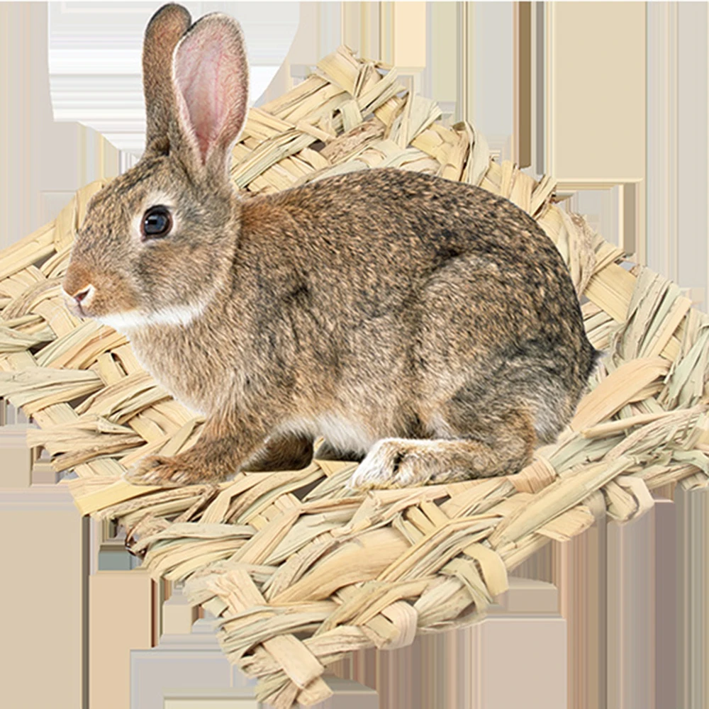 Новый 2019 соломенный коврик для домашних животных хомяк кролика Размеры S/L