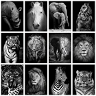 Evershine Алмазная вышивка животные 5D DIY Черно-белый Алмазная мозаика полная выкладка рукоделие картина стразы декор для дома