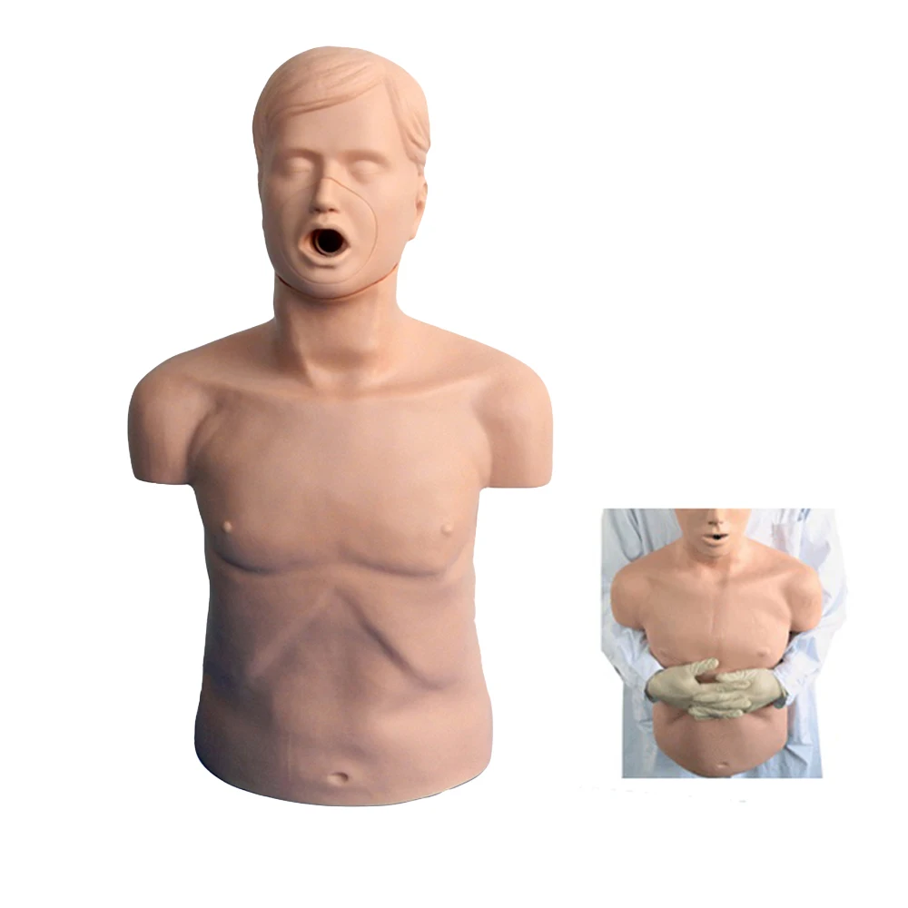 Cardiopulmonary Resuscitation Training and Adult Heimlich First Aid Operation Model | Канцтовары для офиса и дома