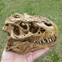 crafts arts crafts retro n 112 tyrannosaurus scale resin dinosaur skull model collectible