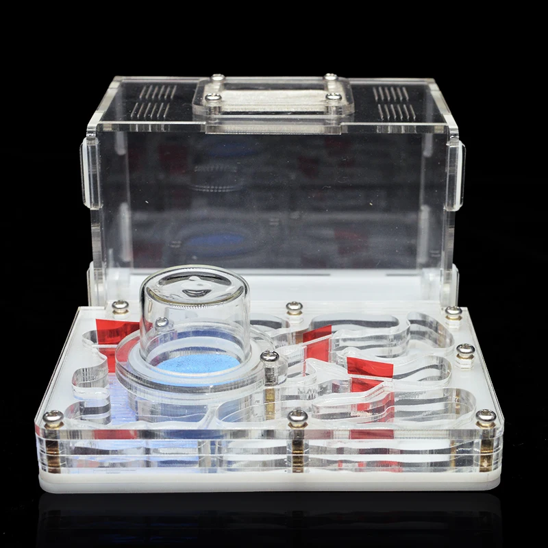 Акриловая муравьиная ферма сделай сам плоское Муравьиное гнездо муравьиный