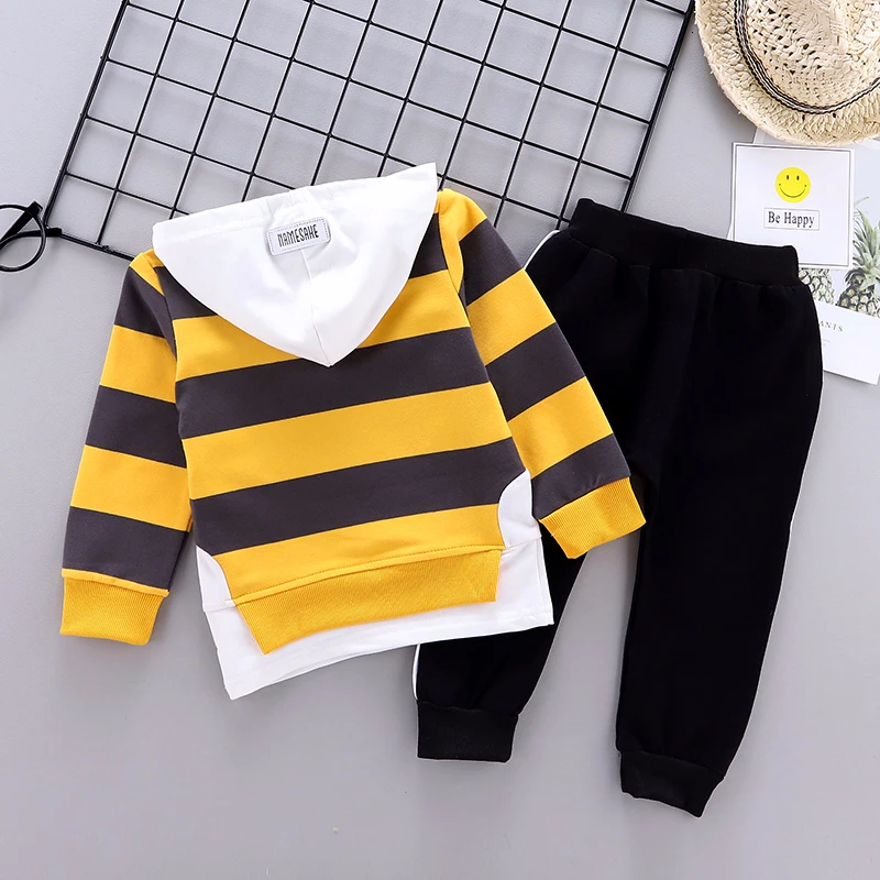 Одежда для маленьких мальчиков и девочек на весну осень свитер с капюшоном штаны