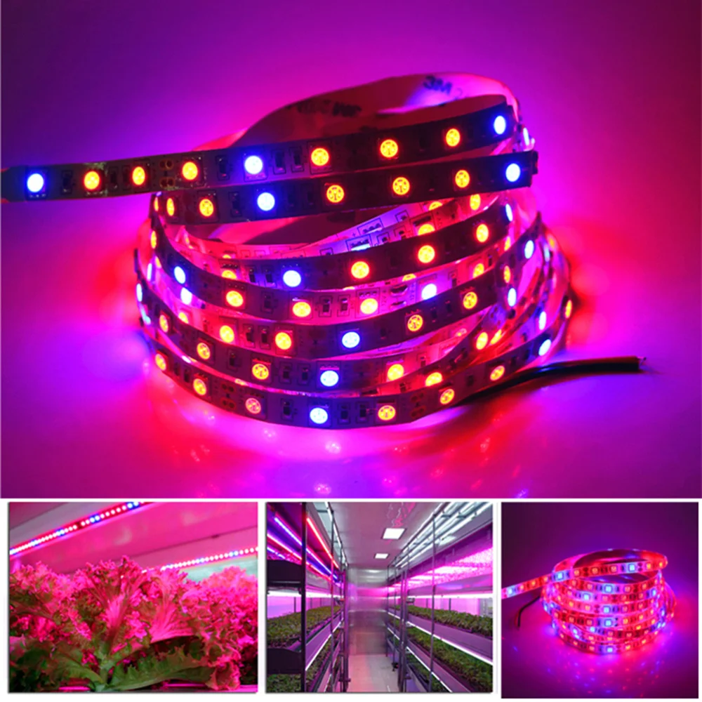 

LED Grow Light Strips Indoor Full Spectrum Growing Lights Waterproof Plant Lamp Strip with US Plug (5m, 4 Red 1 Blue+5A Power Ad
