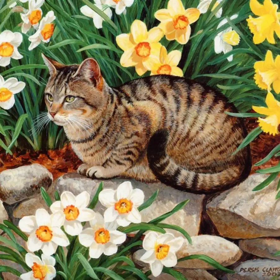 Алмазная картина 5d с котом и животным сделай сам мозаика полностью квадратная