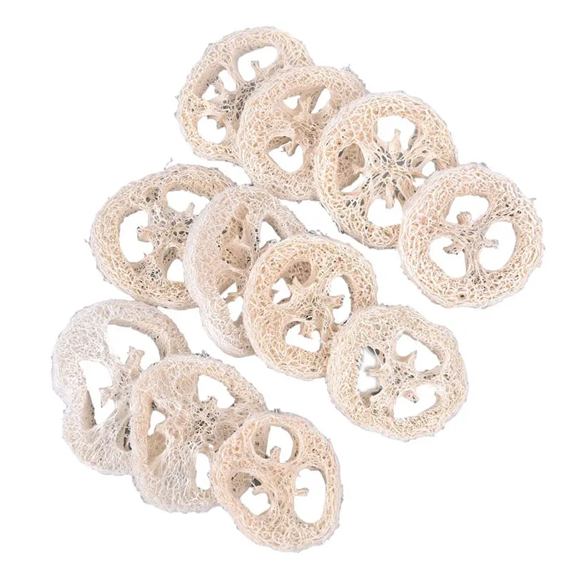

8/10pcs Natural Loofah Luffa Loofa Slices handmade Loofah Soap Box Tray Tools Cleanner Sponge Facial soap holder