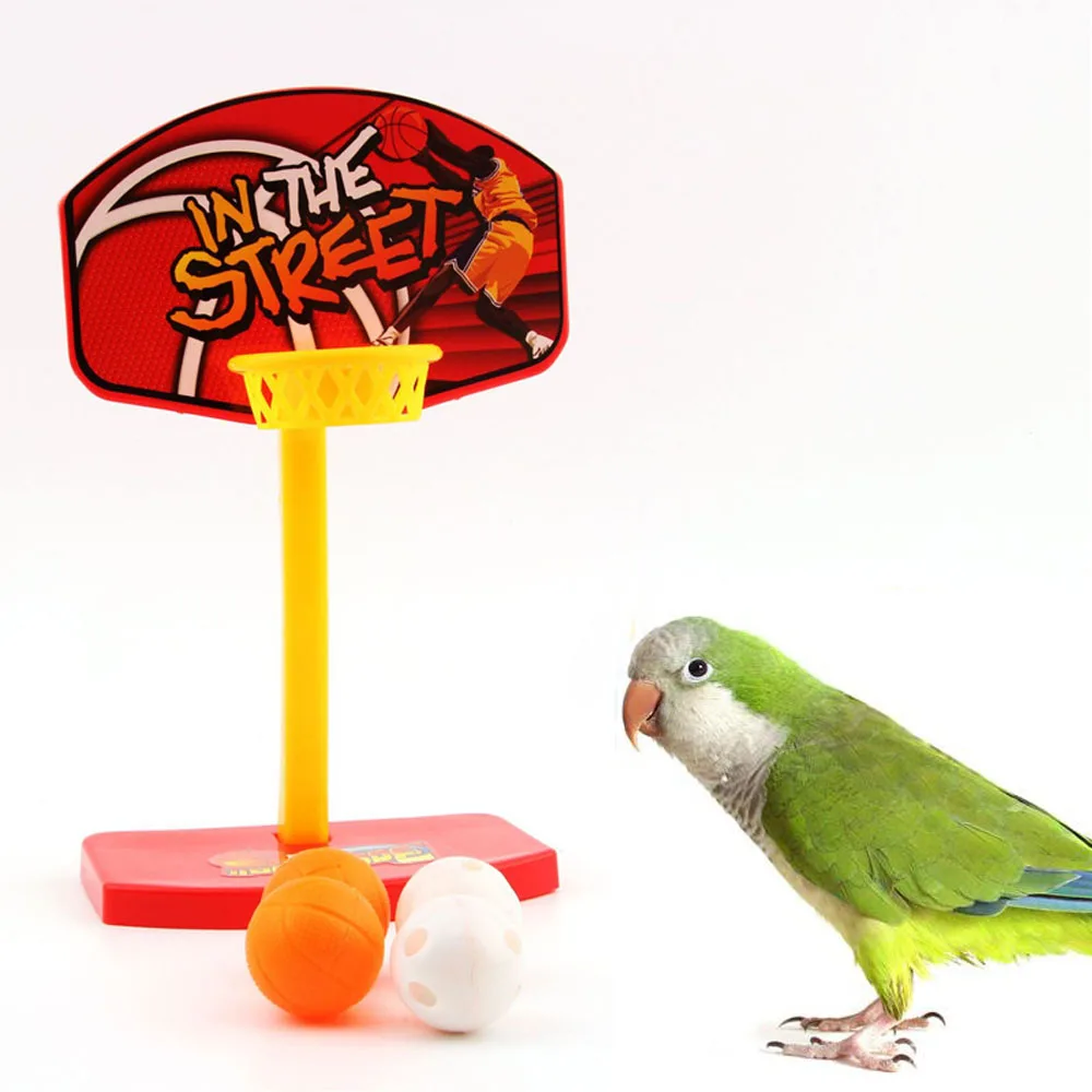 

Pet Bird Toys Bird Mini Basketball Basket Hoop with 4 Balls Parrot Parakeet Training Chew Toys Funny Interactive Bird Supplies