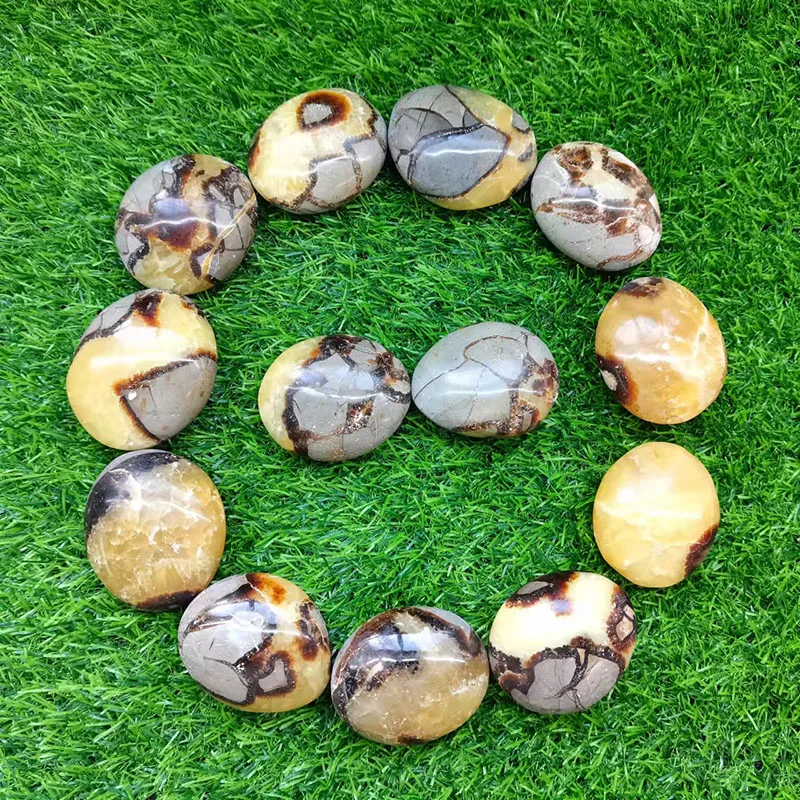 Healing Polished Natural Septarium Septarian Nodule Crystal Stones For Collectible SWJ