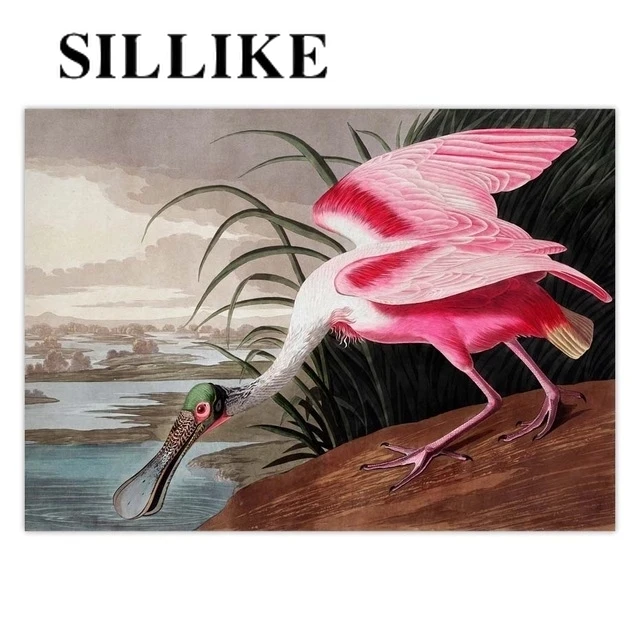 

Audubon Vintage Bird Wall Art Picture American Heron Swan Roseate Spoonbill Scarlet Blue Crane Decor Retro poster kraft paper