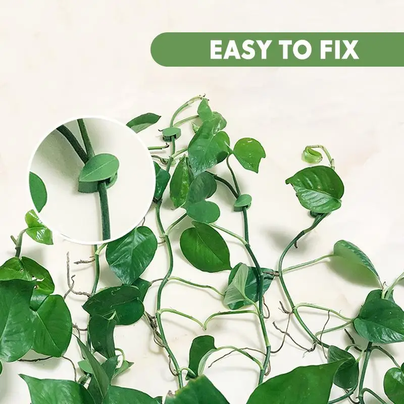 

10/30 PCS Self-Adhesive Vine Fixed Clip Leaf Shape Cable Organizer Decorative Wire Clamp for Cord Home Office Planting Tools
