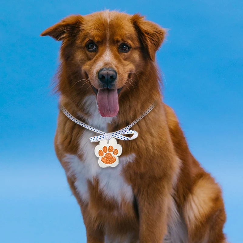 

24 Pieces Acrylic Keychain Blanks Diy Dog Paw Key Chain Rings for Craft Projects DIY Supplies