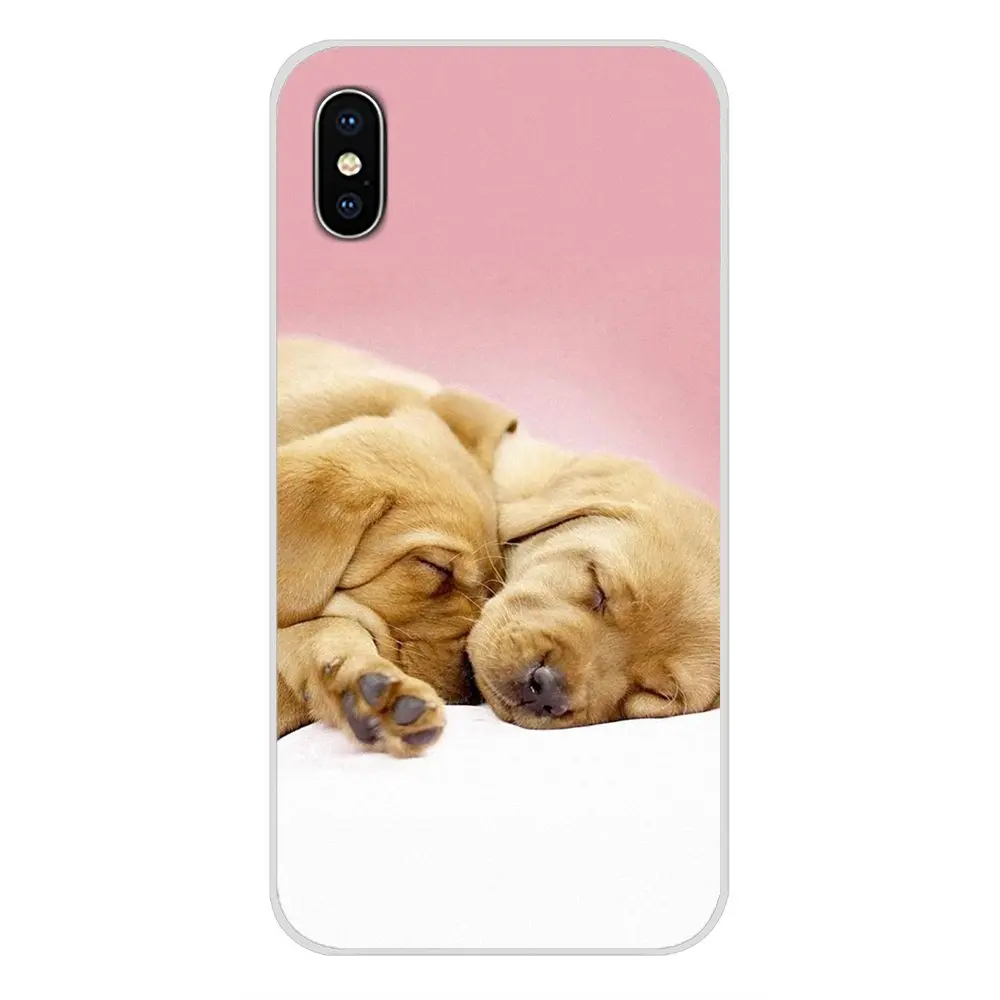 images 7 Прозрачные мягкие чехлы Чехлы забавные Лабрадор собака для huawei G7 G8 P7 P8 P9 P10 P20 P30 Lite Mini Pro P Smart Plus - Цвет: images 7