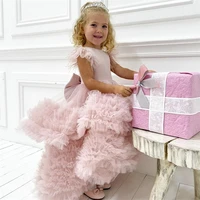 blush ruffles flower girls dresses with bow sash tulle pageant gowns cap sleeve floor length girls birthday party dress