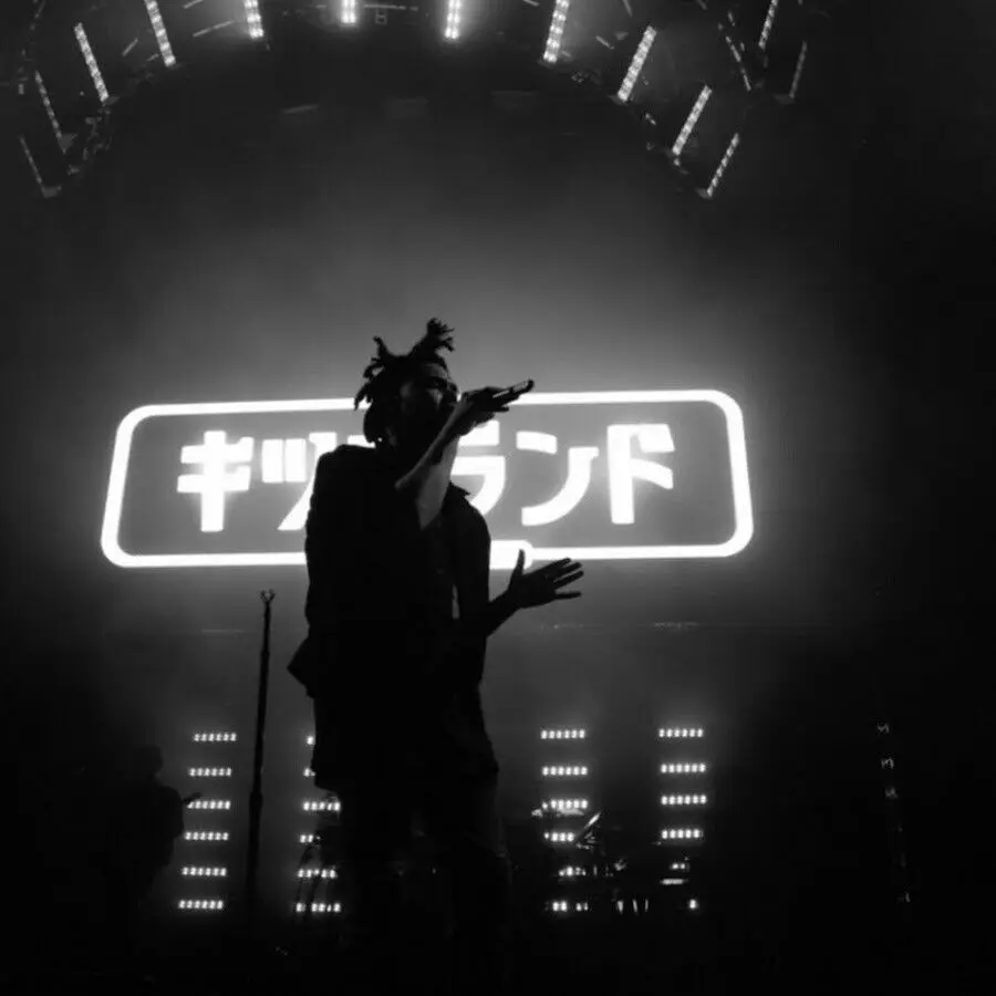 GX449 The Weeknd Art Rap хип-хоп музыкальный альбом живопись плакат печать холст настенная