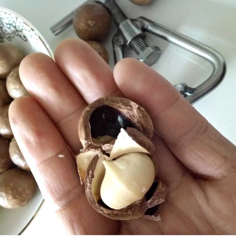 

Stainless Steel Macadamia Nut Opener Nut Cracker Machine Walnut Sheller Tool Opening Kitchen Accessories Gadgets